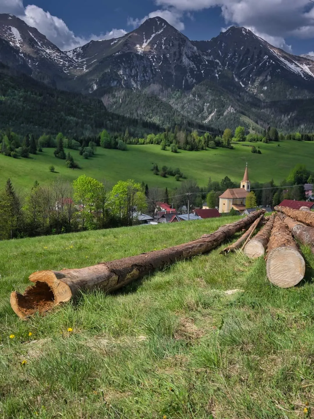 Cut tree trunks in a meadow, with the church in Ždiar and Belianske Tatras behind