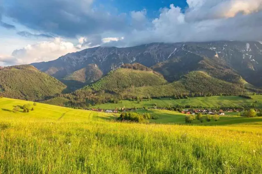 Lúka pod Belianskymi Tatrami v lete