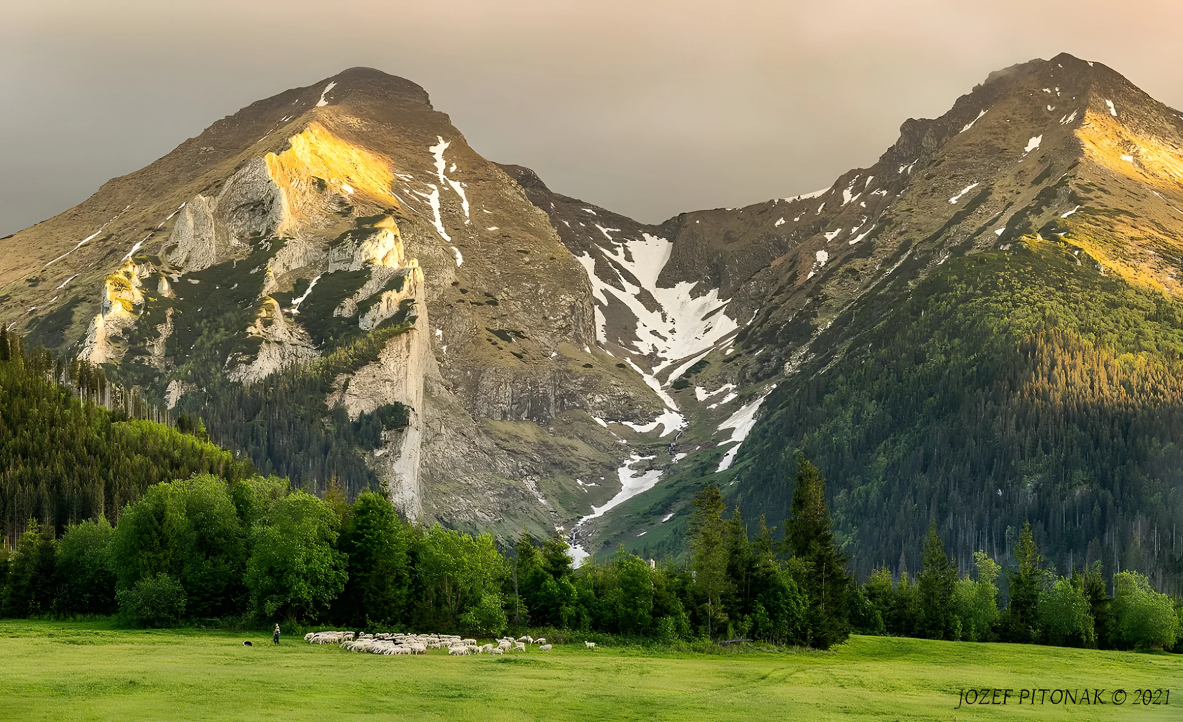 A flock of sheep with a shepherd on a meadow below the peaks of the Belianske Tatras