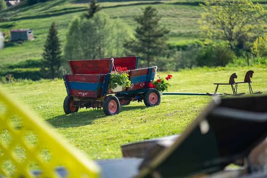 Garden beside the house with a wooden cart and flowers